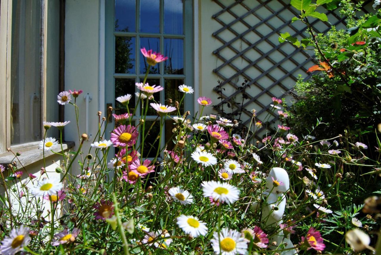 The Cottage Garden - A Herefordshire Retreat Ross-on-Wye Екстериор снимка